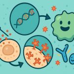 mRNA Vaccines: How They Work and Why They Are Effective