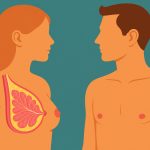 Why Women’s Breasts Are Larger Than Men’s