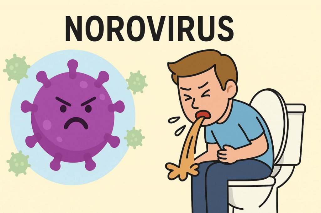 Norovirus: The “Winter Vomiting Bug”