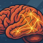 Can a Person Live a Full Life After Brain Cortex Injury or Loss?