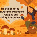 Health Benefits of Autumn Mushroom Foraging and Safety Precautions
